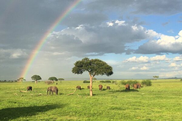 rainbow tours tanzania